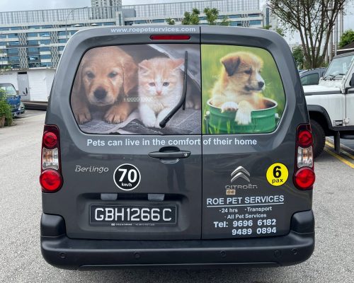 Commercial Vehicle Graphics 2